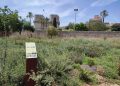 El Ayuntamiento de Valencia inaugura el nuevo Jardín de Polinizadores en el cauce del Túria