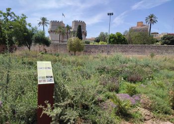 El Ayuntamiento de Valencia inaugura el nuevo Jardín de Polinizadores en el cauce del Túria