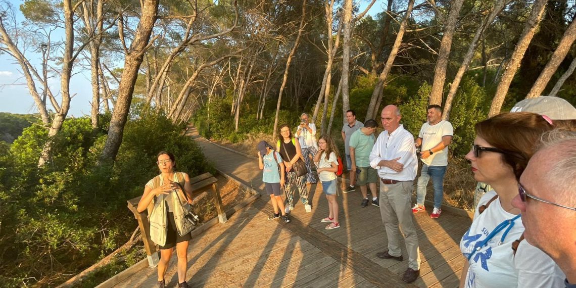 Valencia ofrece visitas gratuitas a l’Albufera como parte de la Gran Feria de Valencia