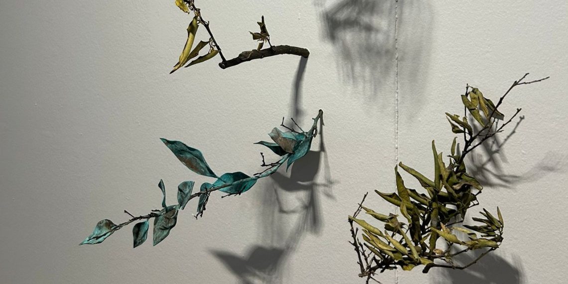 El Museu de Belles Arts de Castelló presenta la exposición de Vicent Carda
