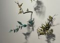 El Museu de Belles Arts de Castelló presenta la exposición de Vicent Carda