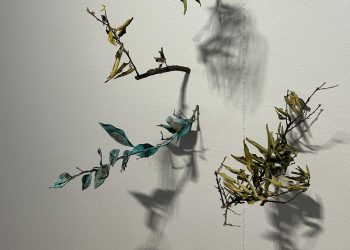 El Museu de Belles Arts de Castelló presenta la exposición de Vicent Carda