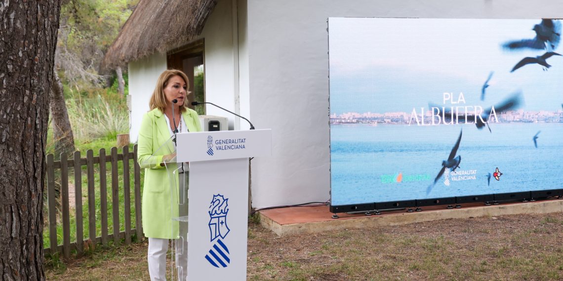 La Generalitat e Iberdrola soterrarán 5,5 kilómetros de líneas eléctricas en l’Albufera dentro del plan de recuperación ambiental