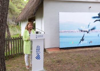 La Generalitat e Iberdrola soterrarán 5,5 kilómetros de líneas eléctricas en l’Albufera dentro del plan de recuperación ambiental