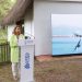La Generalitat e Iberdrola soterrarán 5,5 kilómetros de líneas eléctricas en l’Albufera dentro del plan de recuperación ambiental