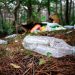 La Comunitat Valenciana retira más de 14 toneladas de residuos de espacios naturales gracias al proyecto LIBERA
