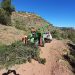 La Generalitat concede ayudas a 41 municipios de montaña para prevenir incendios forestales