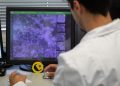 Dos de cada tres proyectos de I+D+i financiados por la Generalitat salen adelante gracias a las ayudas de Ivace+i Innovación