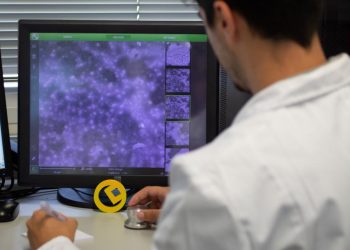 Dos de cada tres proyectos de I+D+i financiados por la Generalitat salen adelante gracias a las ayudas de Ivace+i Innovación