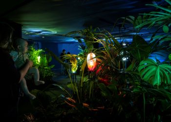 El IVAM presenta ‘¡En el museo no se siente el poniente!’, su programa de actividades