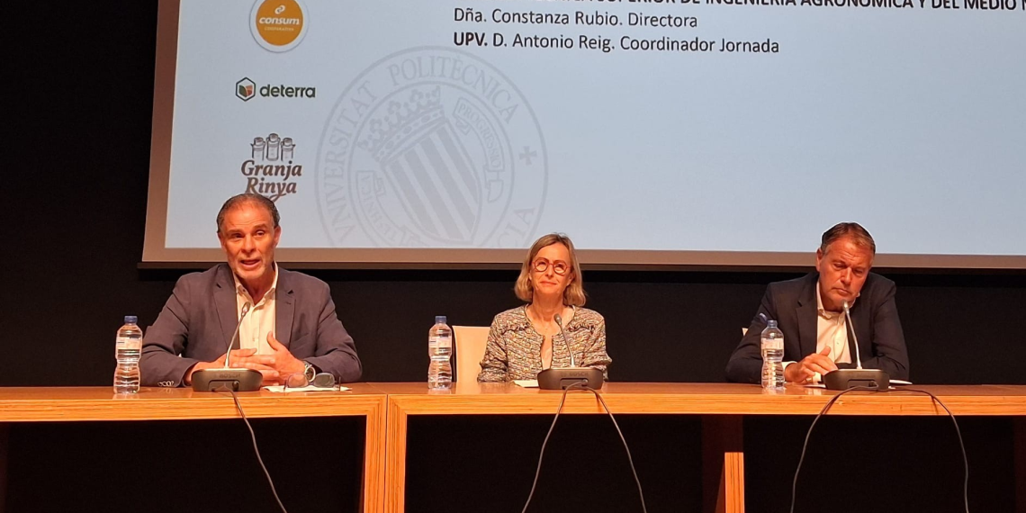 El sector agroalimentario valenciano alcanza 2.895 millones en exportaciones en el primer trimestre de 2026