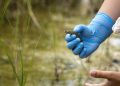 La Generalitat colabora en la reintroducción de un centenar de gallipatos criados por escolares para reforzar las poblaciones