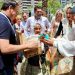 Pérez Llorca respalda las Fogueres en la mascletá de Hermanos Ferrández en Alicante