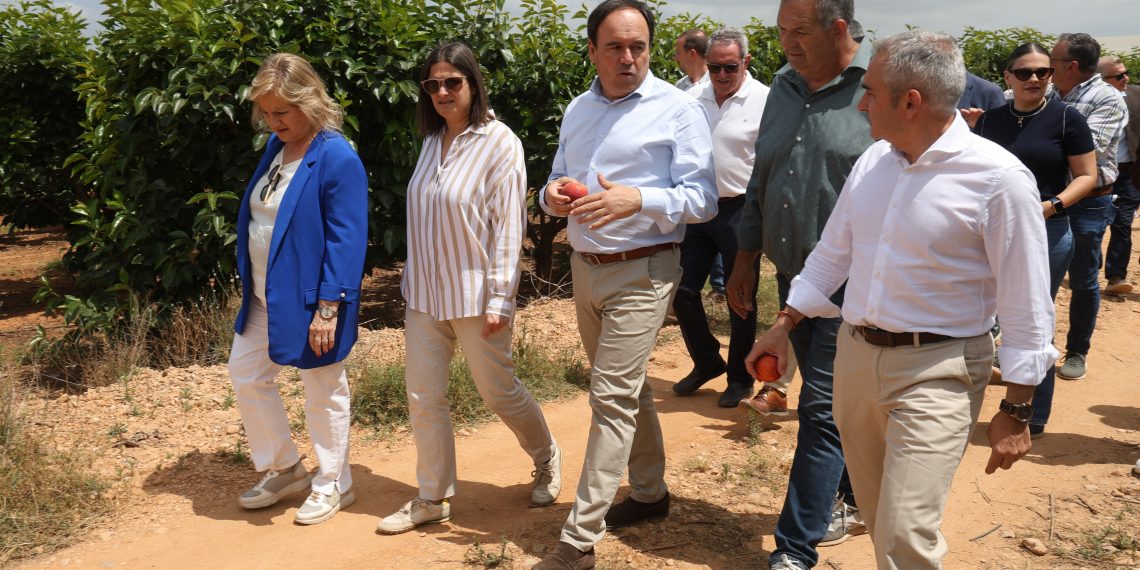 Pérez Llorca impulsa la mayor ayuda histórica para modernizar explotaciones agrarias