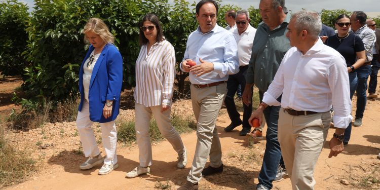 Pérez Llorca impulsa la mayor ayuda histórica para modernizar explotaciones agrarias