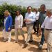 Pérez Llorca impulsa la mayor ayuda histórica para modernizar explotaciones agrarias