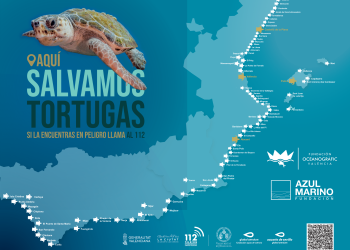 La campaña ‘Aquí salvamos tortugas’ moviliza a más de 100 municipios para proteger las tortugas marinas