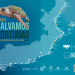 La campaña ‘Aquí salvamos tortugas’ moviliza a más de 100 municipios para proteger las tortugas marinas