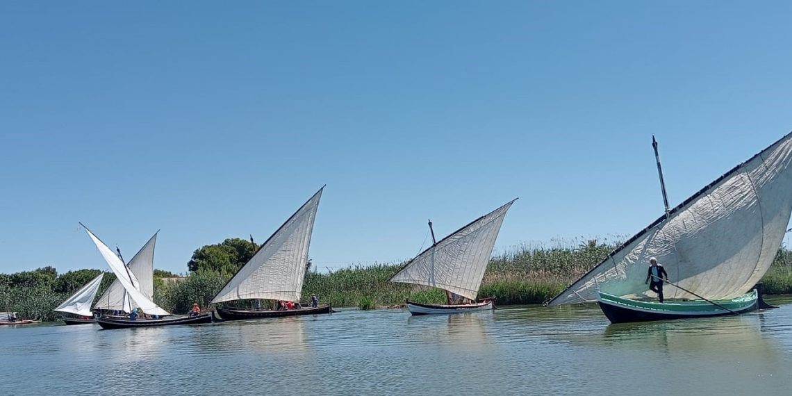 La vela latina vuelve a navegar en la Albufera con 15 exhibiciones previstas en 2026