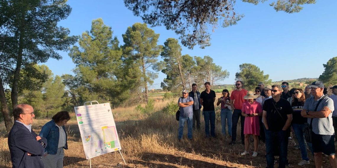 La Generalitat impulsa la innovación y sostenibilidad del sector vitivinícola valenciano