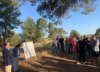 La Generalitat impulsa la innovación y sostenibilidad del sector vitivinícola valenciano
