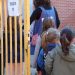 Educación habilitará nuevas unidades en valenciano en siete municipios castellanohablantes el próximo curso