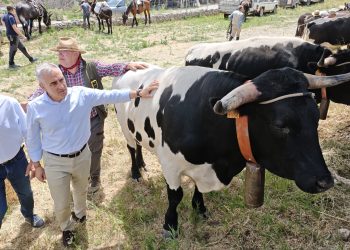 Barrachina refuerza el apoyo al sector ganadero con nuevas ayudas y una inversión récord