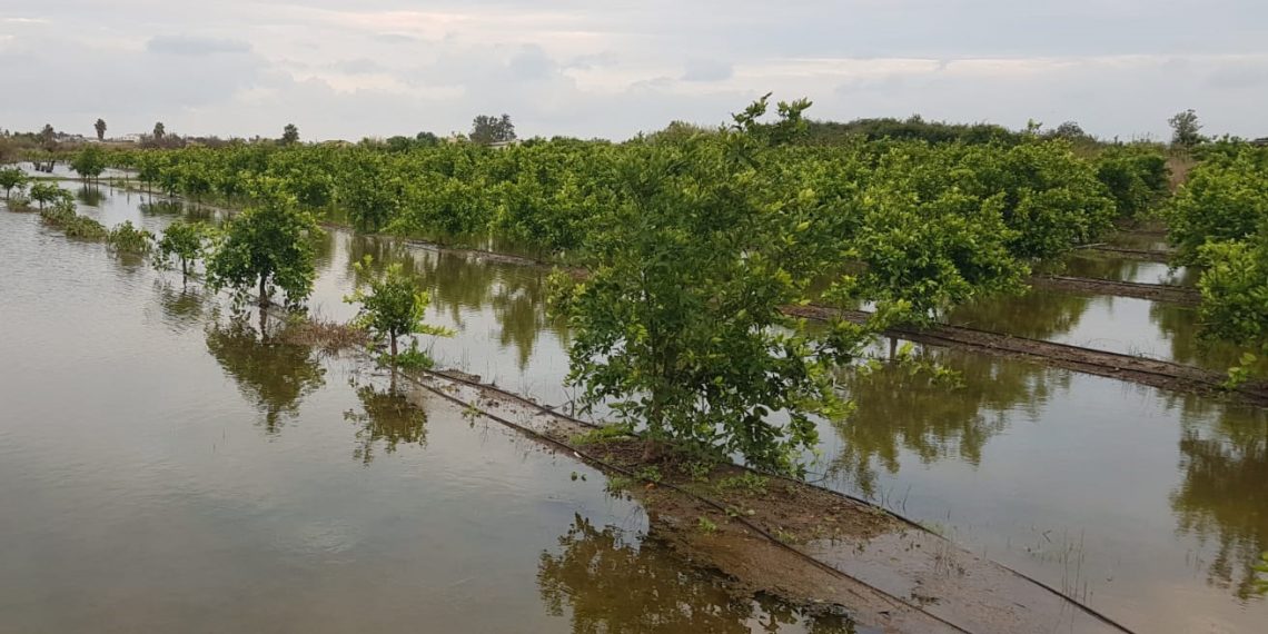 AVA-ASAJA exige a la Generalitat que pacte los parques inundables con el sector agrario