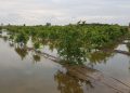 AVA-ASAJA exige a la Generalitat que pacte los parques inundables con el sector agrario