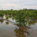 AVA-ASAJA exige a la Generalitat que pacte los parques inundables con el sector agrario