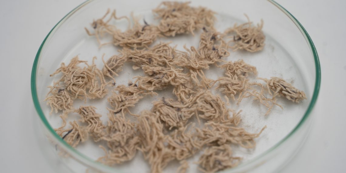 ITENE impulsa el reciclaje textil de alta eficiencia para su aplicación en envases e industria química