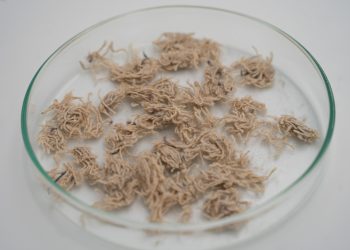ITENE impulsa el reciclaje textil de alta eficiencia para su aplicación en envases e industria química