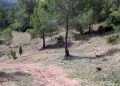 La actuación, financiada con fondos europeos, refuerza la protección forestal en una zona sin intervención integral durante décadas