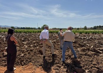La Generalitat destina 26,7 millones para replantar cultivos leñosos afectados por la dana de 2024