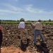 La Generalitat destina 26,7 millones para replantar cultivos leñosos afectados por la dana de 2024