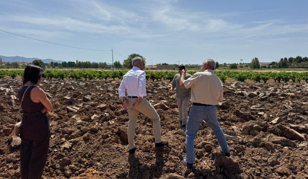 La Generalitat destina 26,7 millones para replantar cultivos leñosos afectados por la dana de 2024