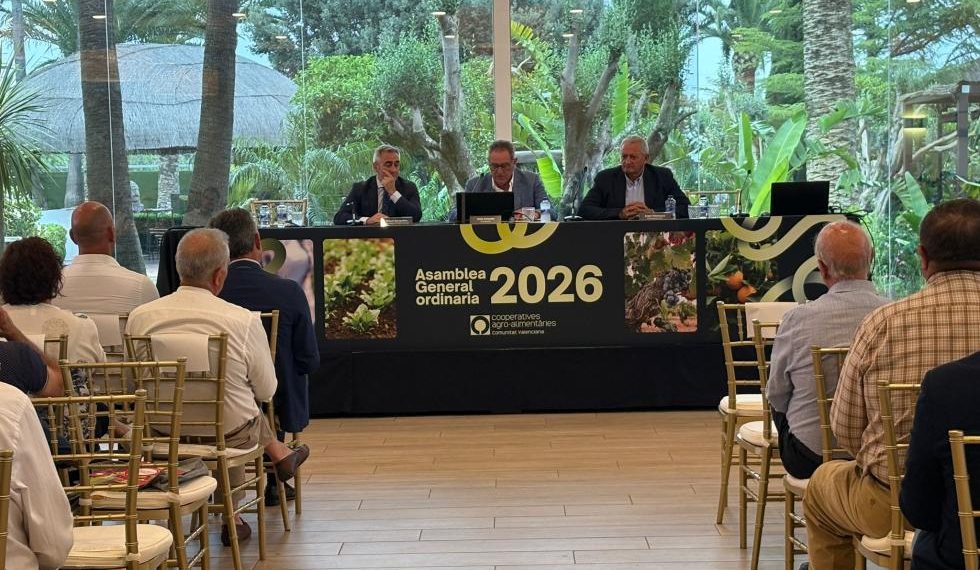Barrachina defiende que unas cooperativas fuertes multiplicarán el impacto de los 50 millones para modernizar el campo valenciano
