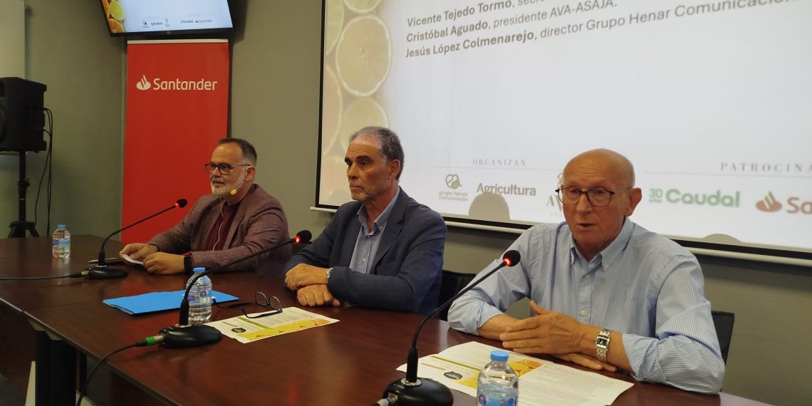 El sector citrícola reclama más tecnología e innovación para mantener el liderazgo de la citricultura valenciana