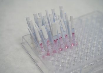 ITENE desarrolla un biosensor que detecta Salmonella y Listeria en alimentos