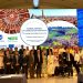 La Comunitat Valenciana asume el liderazgo de 40 regiones mediterráneas en Europa