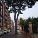 Valencia prueba un nuevo sistema para controlar la procesionaria en los pinos de la ciudad