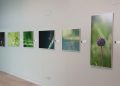 Arte y ciencia se unen en ‘Macroarte’ la nueva exposición de El Paleontològic