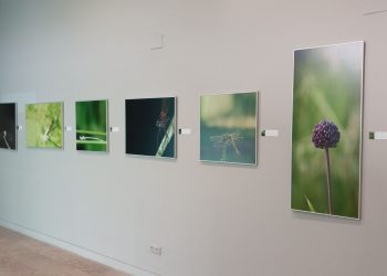 Arte y ciencia se unen en ‘Macroarte’ la nueva exposición de El Paleontològic
