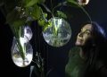 El IVAM ofrece una acción sonora en directo inspirada en la exposición ‘Radix’ de Tania Candiani