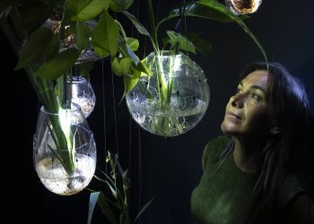 El IVAM ofrece una acción sonora en directo inspirada en la exposición ‘Radix’ de Tania Candiani