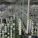 La Generalitat destina 2,6 millones a 41 asociaciones empresariales para impulsar la industria valenciana