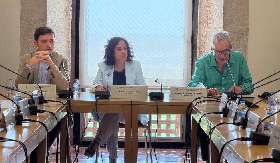 La Generalitat constituye el Consejo Valenciano del Voluntariado para reforzar la participación del sector