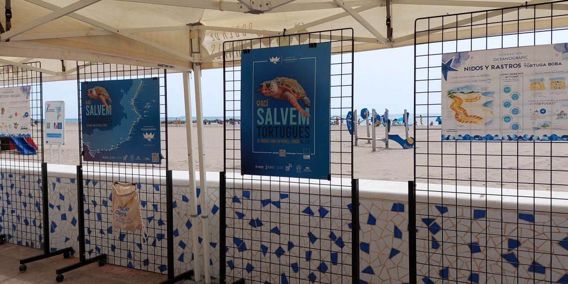 La Pobla de Farnals participa en la campaña “Aquí salvamos tortugas” para concienciar sobre la protección marina
