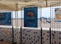 La Pobla de Farnals participa en la campaña “Aquí salvamos tortugas” para concienciar sobre la protección marina
