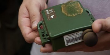 Valencia analiza el canto de las aves con inteligencia artificial para medir la biodiversidad urbana